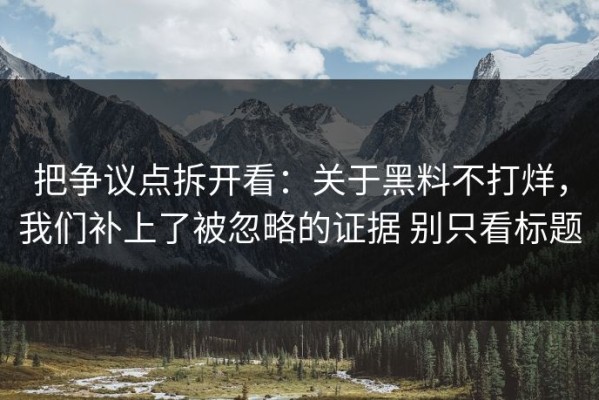 把争议点拆开看：关于黑料不打烊，我们补上了被忽略的证据 别只看标题