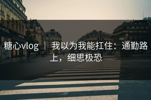 糖心vlog ｜ 我以为我能扛住：通勤路上，细思极恐