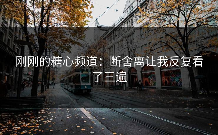 刚刚的糖心频道：断舍离让我反复看了三遍