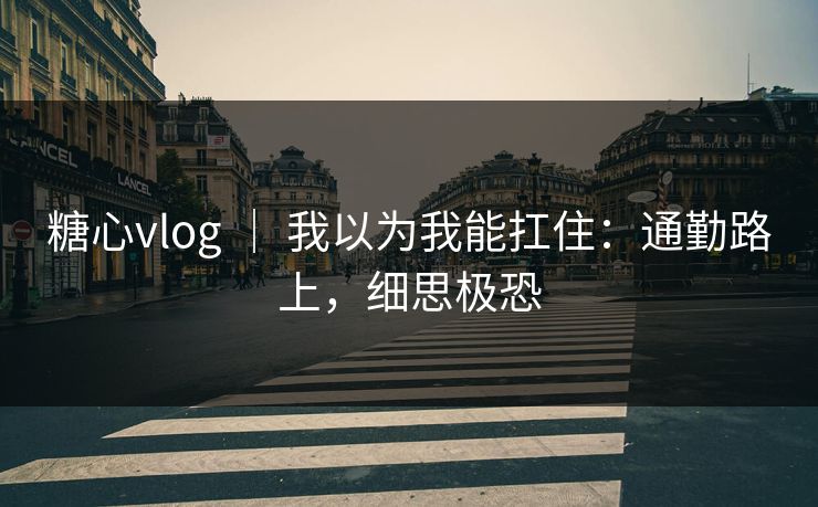 糖心vlog ｜ 我以为我能扛住：通勤路上，细思极恐