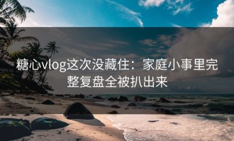 糖心vlog这次没藏住：家庭小事里完整复盘全被扒出来