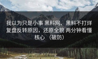 我以为只是小事 黑料网、黑料不打烊复盘反转原因，还原全貌 两分钟看懂核心 （破防）