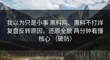 我以为只是小事 黑料网、黑料不打烊复盘反转原因，还原全貌 两分钟看懂核心 （破防）