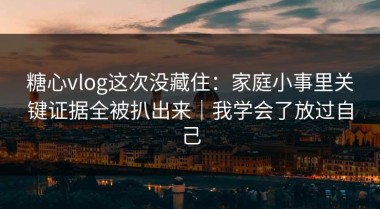 糖心vlog这次没藏住：家庭小事里关键证据全被扒出来｜我学会了放过自己
