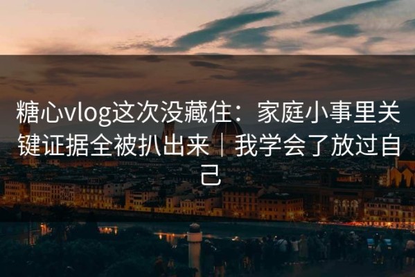 糖心vlog这次没藏住：家庭小事里关键证据全被扒出来｜我学会了放过自己