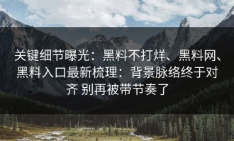 关键细节曝光：黑料不打烊、黑料网、黑料入口最新梳理：背景脉络终于对齐 别再被带节奏了