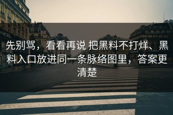 先别骂，看看再说 把黑料不打烊、黑料入口放进同一条脉络图里，答案更清楚