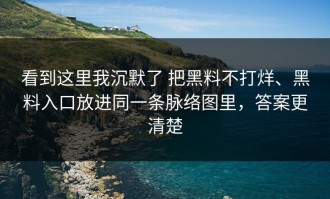 看到这里我沉默了 把黑料不打烊、黑料入口放进同一条脉络图里，答案更清楚