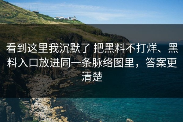 看到这里我沉默了 把黑料不打烊、黑料入口放进同一条脉络图里，答案更清楚