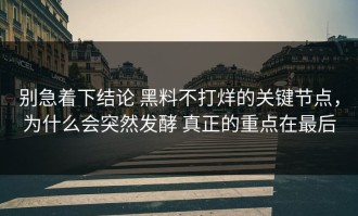 别急着下结论 黑料不打烊的关键节点，为什么会突然发酵 真正的重点在最后