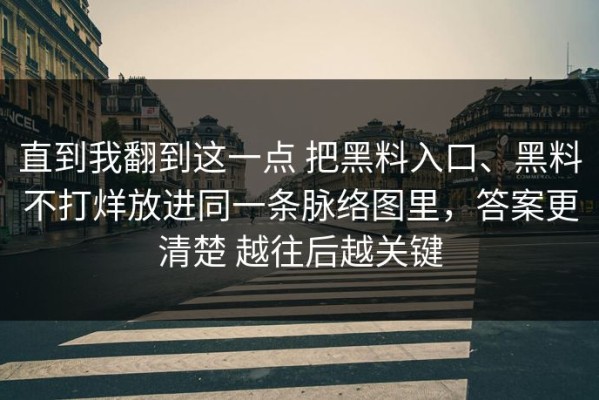 直到我翻到这一点 把黑料入口、黑料不打烊放进同一条脉络图里，答案更清楚 越往后越关键