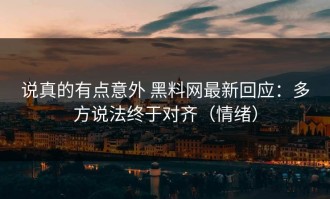 说真的有点意外 黑料网最新回应：多方说法终于对齐（情绪）