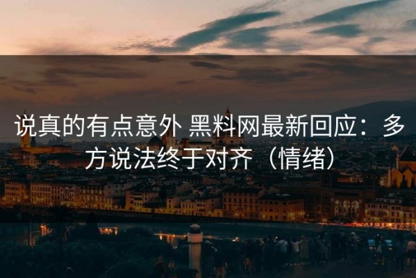 说真的有点意外 黑料网最新回应：多方说法终于对齐（情绪）