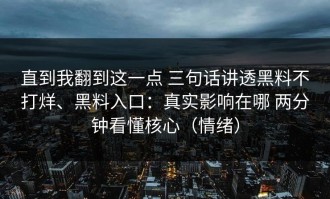 直到我翻到这一点 三句话讲透黑料不打烊、黑料入口：真实影响在哪 两分钟看懂核心（情绪）
