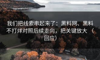 我们把线索串起来了：黑料网、黑料不打烊对照后续走向，把关键放大 （回应）
