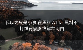 我以为只是小事 在黑料入口、黑料不打烊背景脉络解释明白