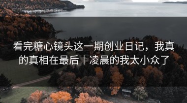 看完糖心镜头这一期创业日记，我真的真相在最后｜凌晨的我太小众了