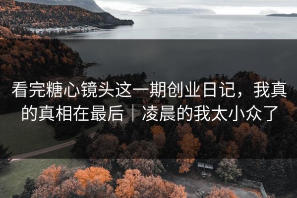 看完糖心镜头这一期创业日记，我真的真相在最后｜凌晨的我太小众了