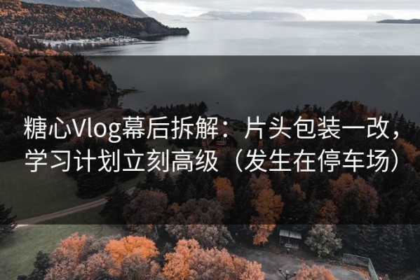 糖心Vlog幕后拆解：片头包装一改，学习计划立刻高级（发生在停车场）