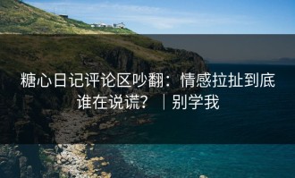 糖心日记评论区吵翻：情感拉扯到底谁在说谎？｜别学我