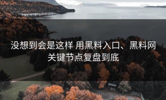 没想到会是这样 用黑料入口、黑料网关键节点复盘到底
