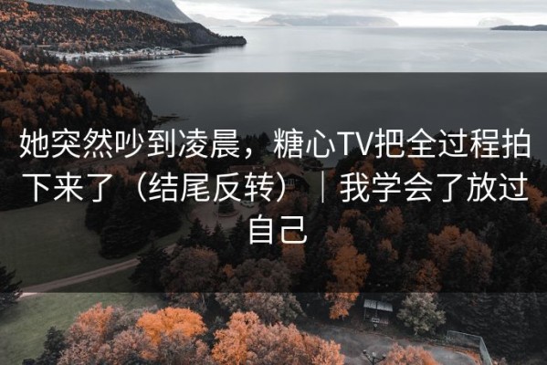 她突然吵到凌晨，糖心TV把全过程拍下来了（结尾反转）｜我学会了放过自己