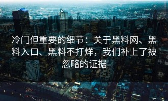 冷门但重要的细节：关于黑料网、黑料入口、黑料不打烊，我们补上了被忽略的证据