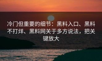 冷门但重要的细节：黑料入口、黑料不打烊、黑料网关于多方说法，把关键放大