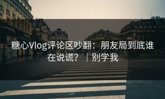 糖心Vlog评论区吵翻：朋友局到底谁在说谎？｜别学我