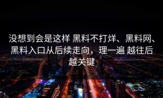没想到会是这样 黑料不打烊、黑料网、黑料入口从后续走向，理一遍 越往后越关键