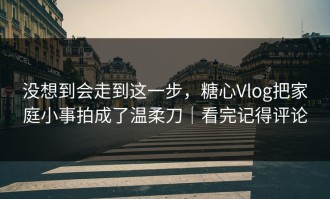 没想到会走到这一步，糖心Vlog把家庭小事拍成了温柔刀｜看完记得评论