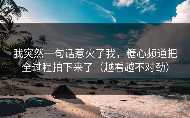 我突然一句话惹火了我，糖心频道把全过程拍下来了（越看越不对劲）