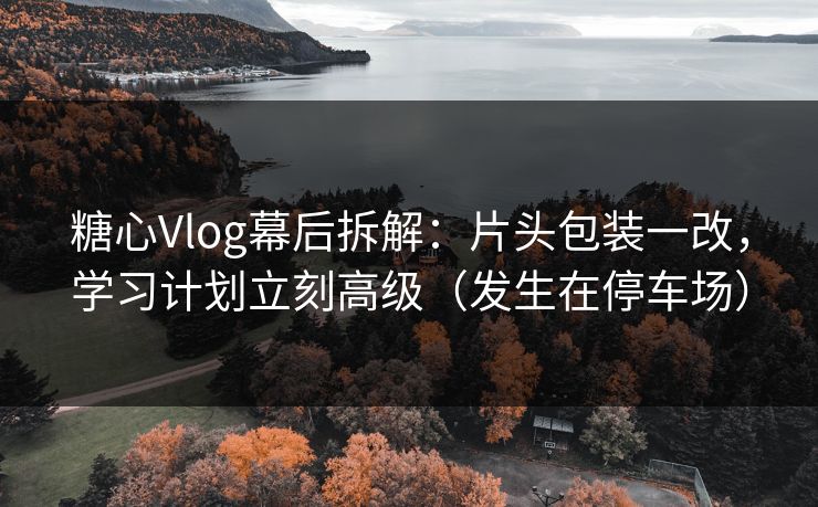 糖心Vlog幕后拆解：片头包装一改，学习计划立刻高级（发生在停车场）