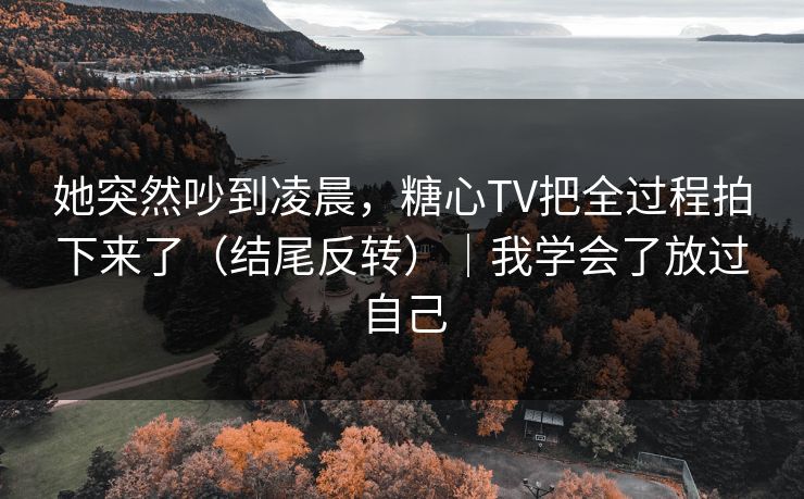她突然吵到凌晨，糖心TV把全过程拍下来了（结尾反转）｜我学会了放过自己