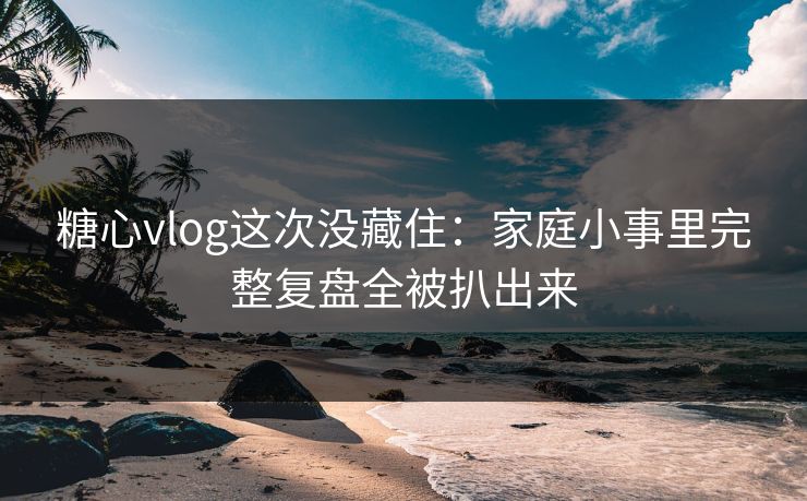 糖心vlog这次没藏住：家庭小事里完整复盘全被扒出来