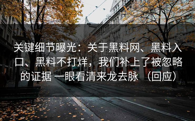 关键细节曝光：关于黑料网、黑料入口、黑料不打烊，我们补上了被忽略的证据 一眼看清来龙去脉 （回应）