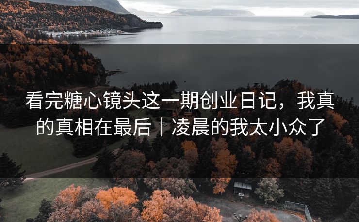 看完糖心镜头这一期创业日记，我真的真相在最后｜凌晨的我太小众了