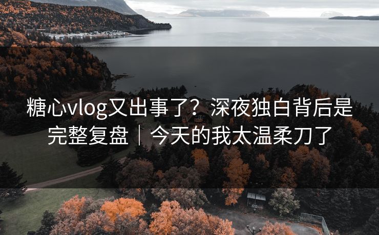 糖心vlog又出事了?深夜独白背后是完整复盘|今天的我太温柔刀了 糖心vlog又出事了?深夜独白背后是完整复盘|今天的我太温柔刀了
