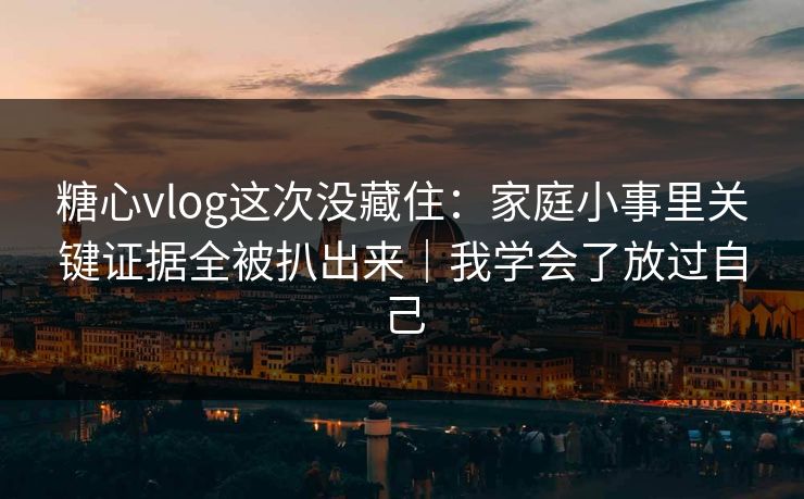 糖心vlog这次没藏住：家庭小事里关键证据全被扒出来｜我学会了放过自己