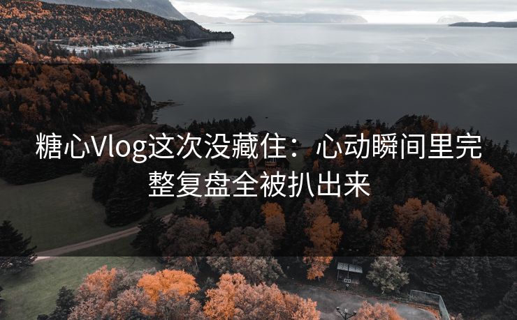 糖心Vlog这次没藏住：心动瞬间里完整复盘全被扒出来